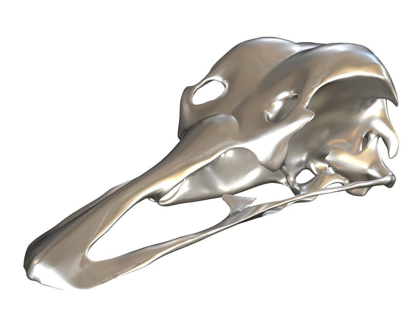 Cranium Charm Ostrich 3D print model_10