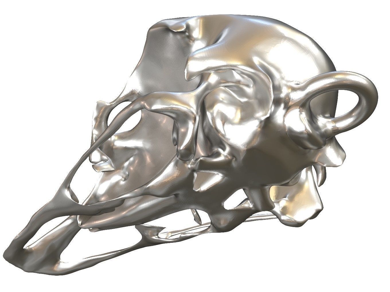 Cranium Charm Ostrich 3D print model_4