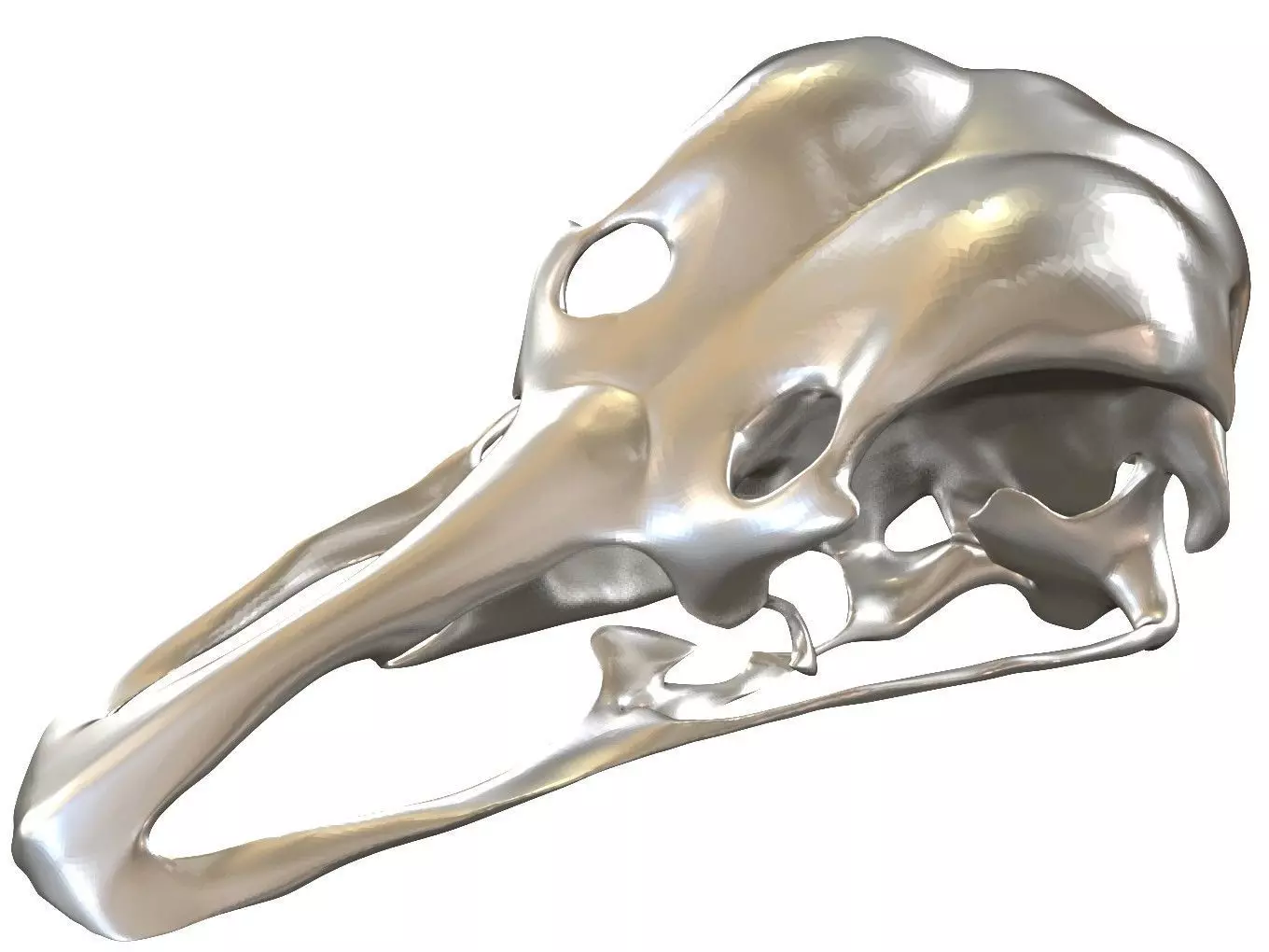 Cranium Charm Ostrich 3D print model_0