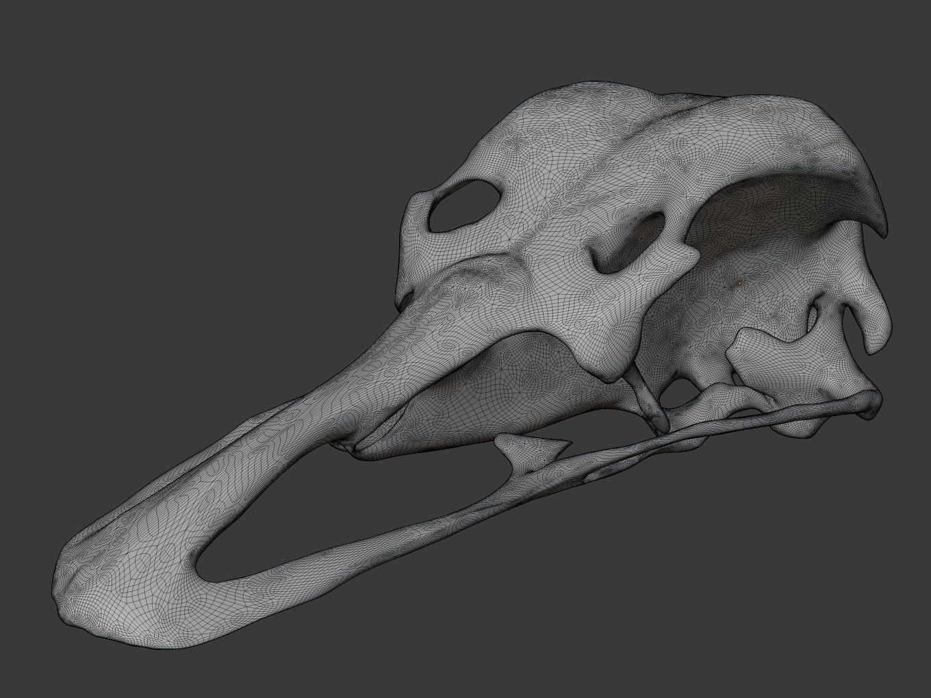 Cranium Charm Ostrich 3D print model_12