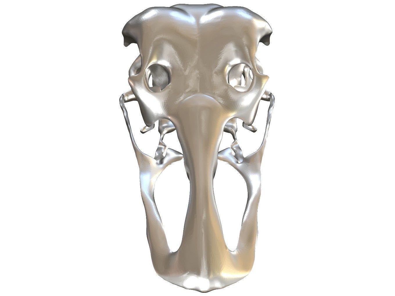 Cranium Charm Ostrich 3D print model_8