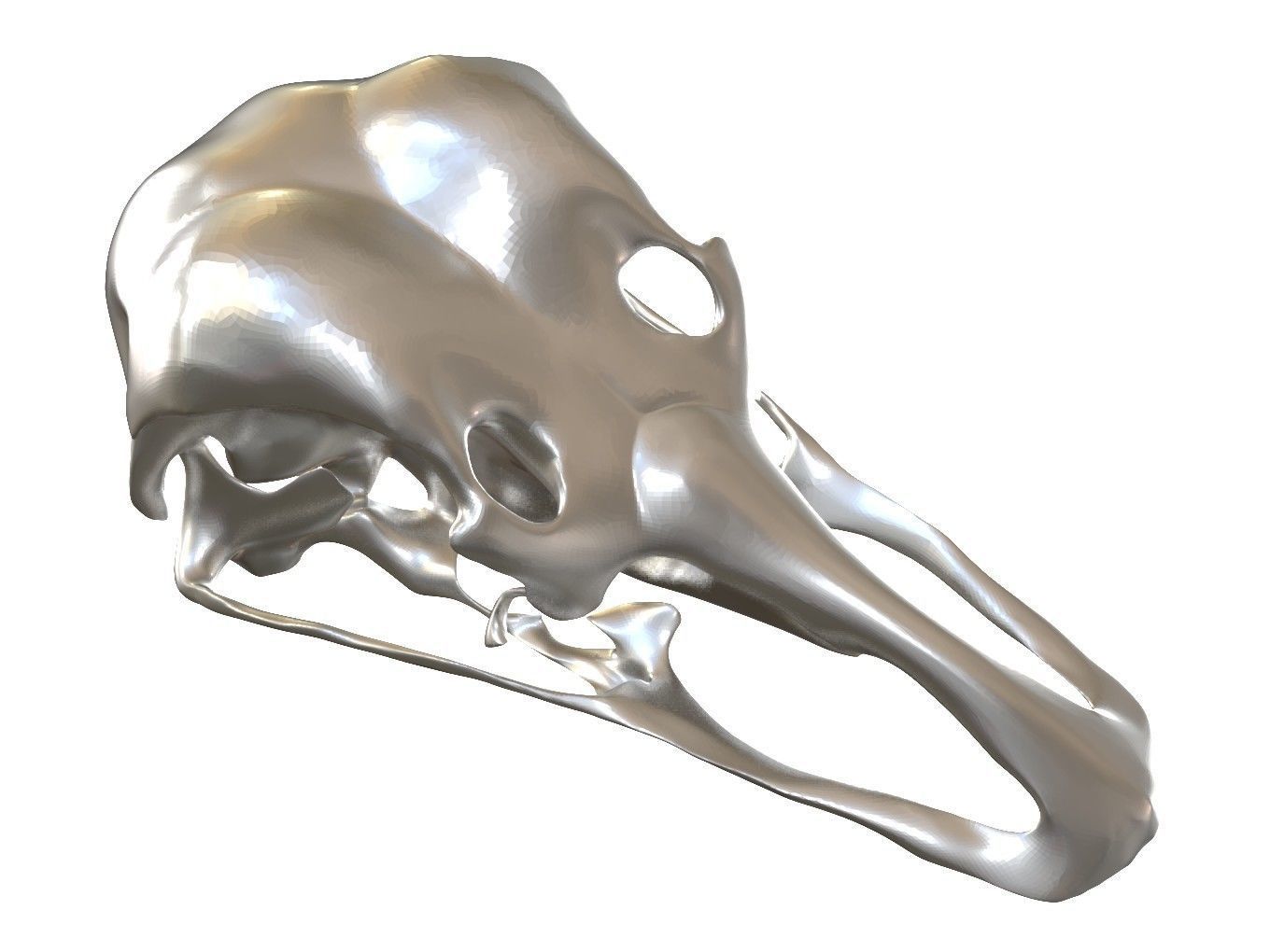 Cranium Charm Ostrich 3D print model_7