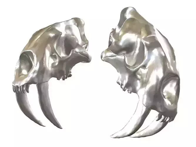 Cranium Charm Sabertooth Silver