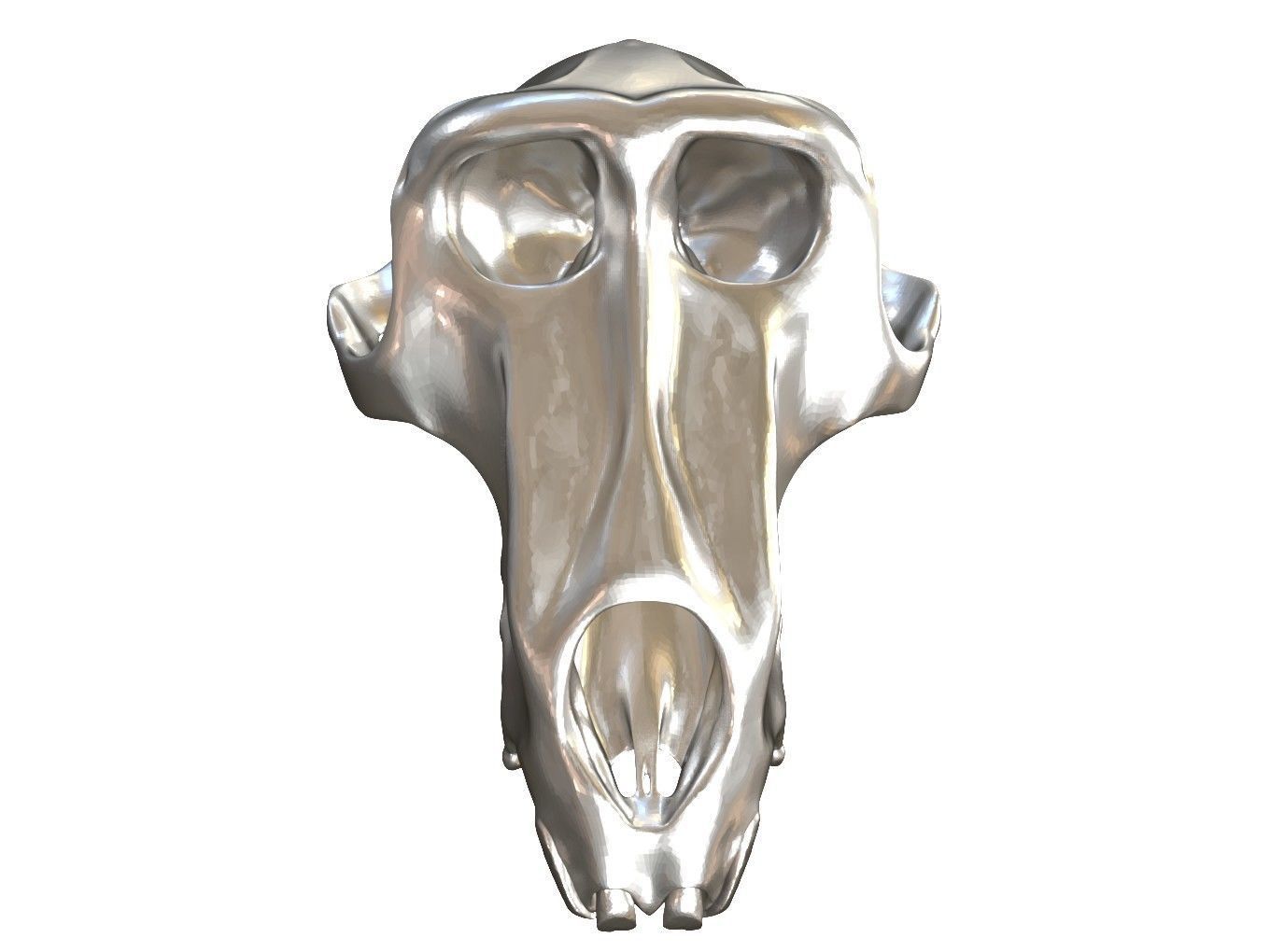 Cranium Charm Baboon Silver 3D print model_1