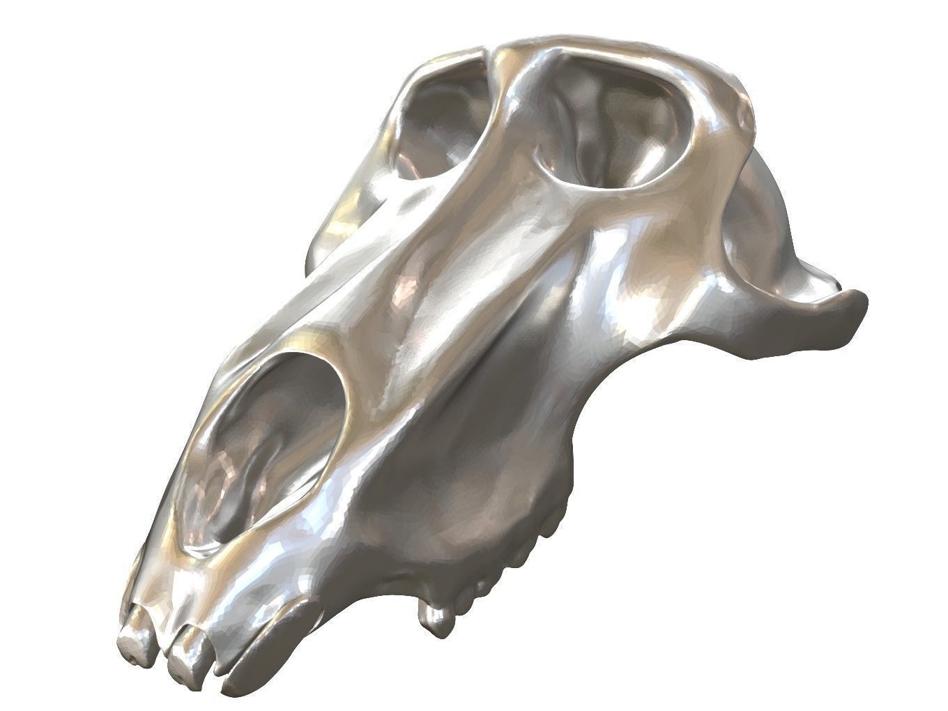 Cranium Charm Baboon Silver 3D print model_2
