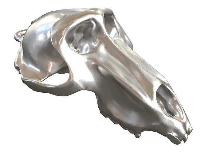 Cranium Charm Baboon Silver 3D print model