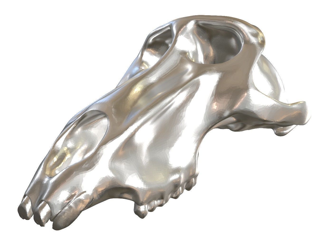 Cranium Charm Baboon Silver 3D print model_10