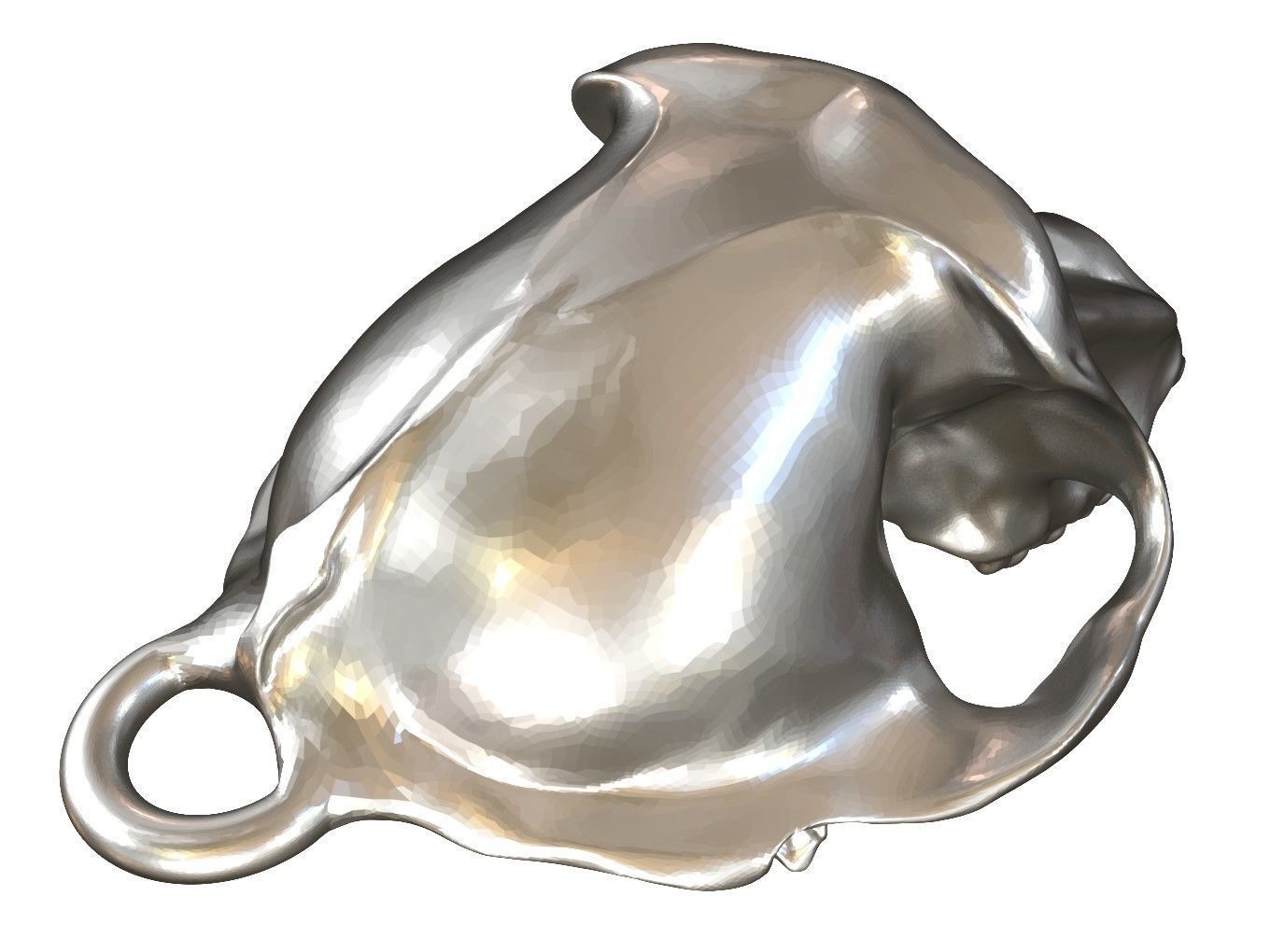 Cranium Charm Baboon Silver 3D print model_7