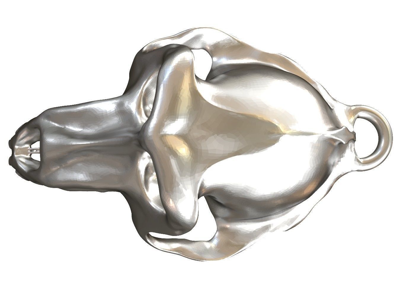 Cranium Charm Baboon Silver 3D print model_4