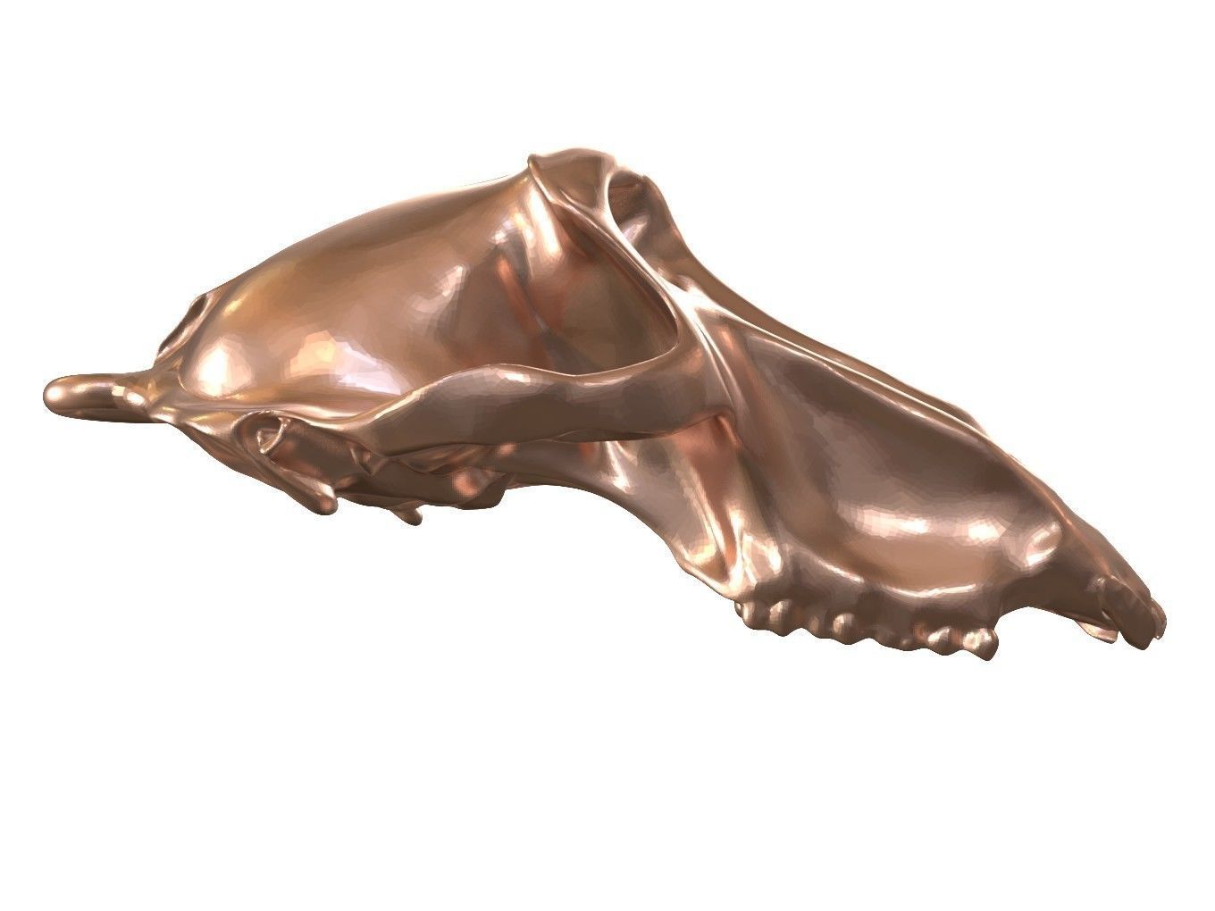 Cranium Charm Baboon Bronze 3D print model_8