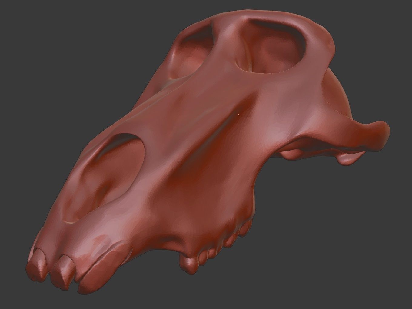 Cranium Charm Baboon Bronze 3D print model_14