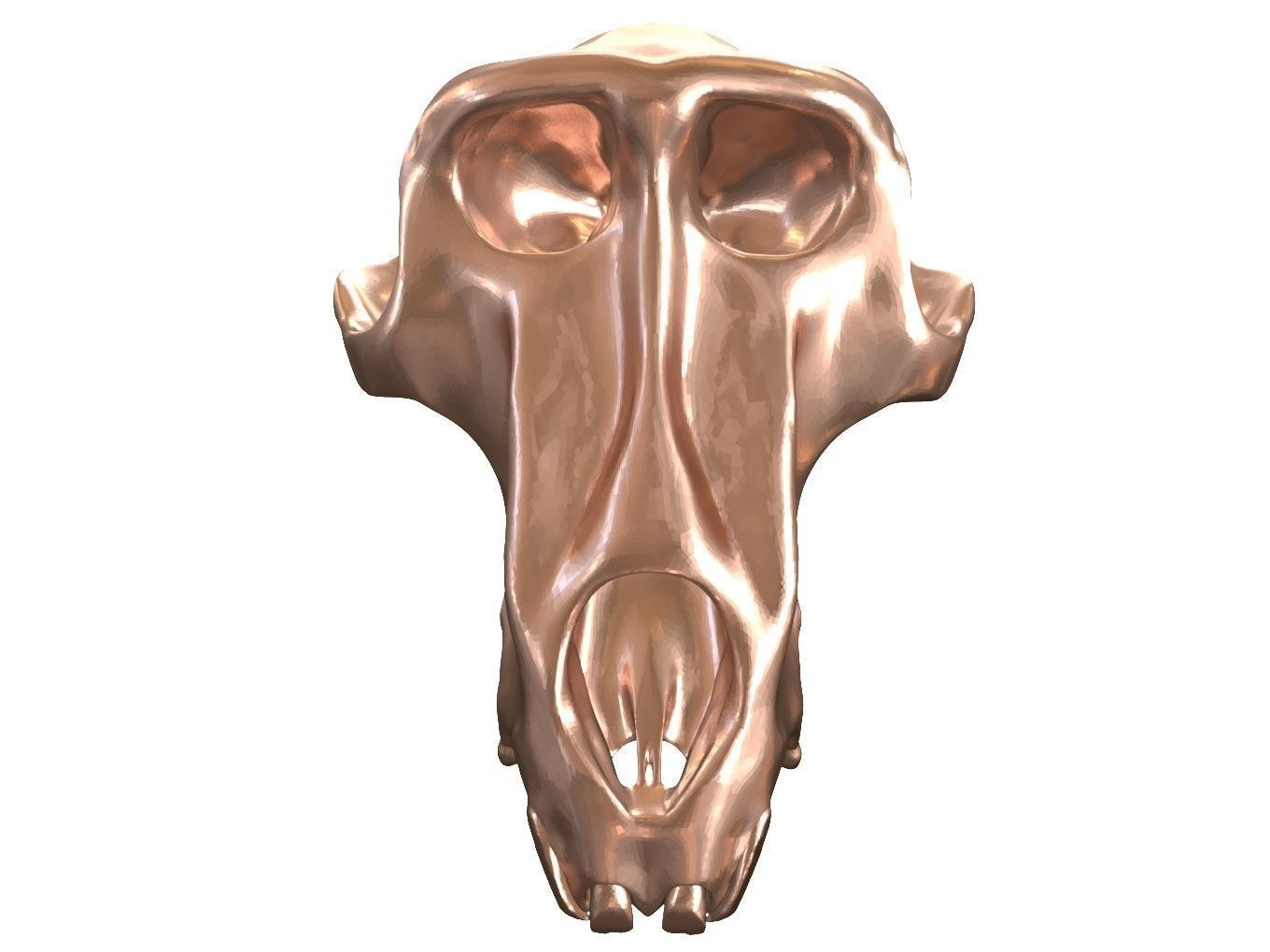 Cranium Charm Baboon Bronze 3D print model_1