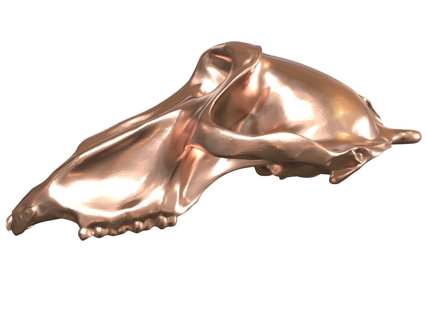 Cranium Charm Baboon Bronze 3D print model_3