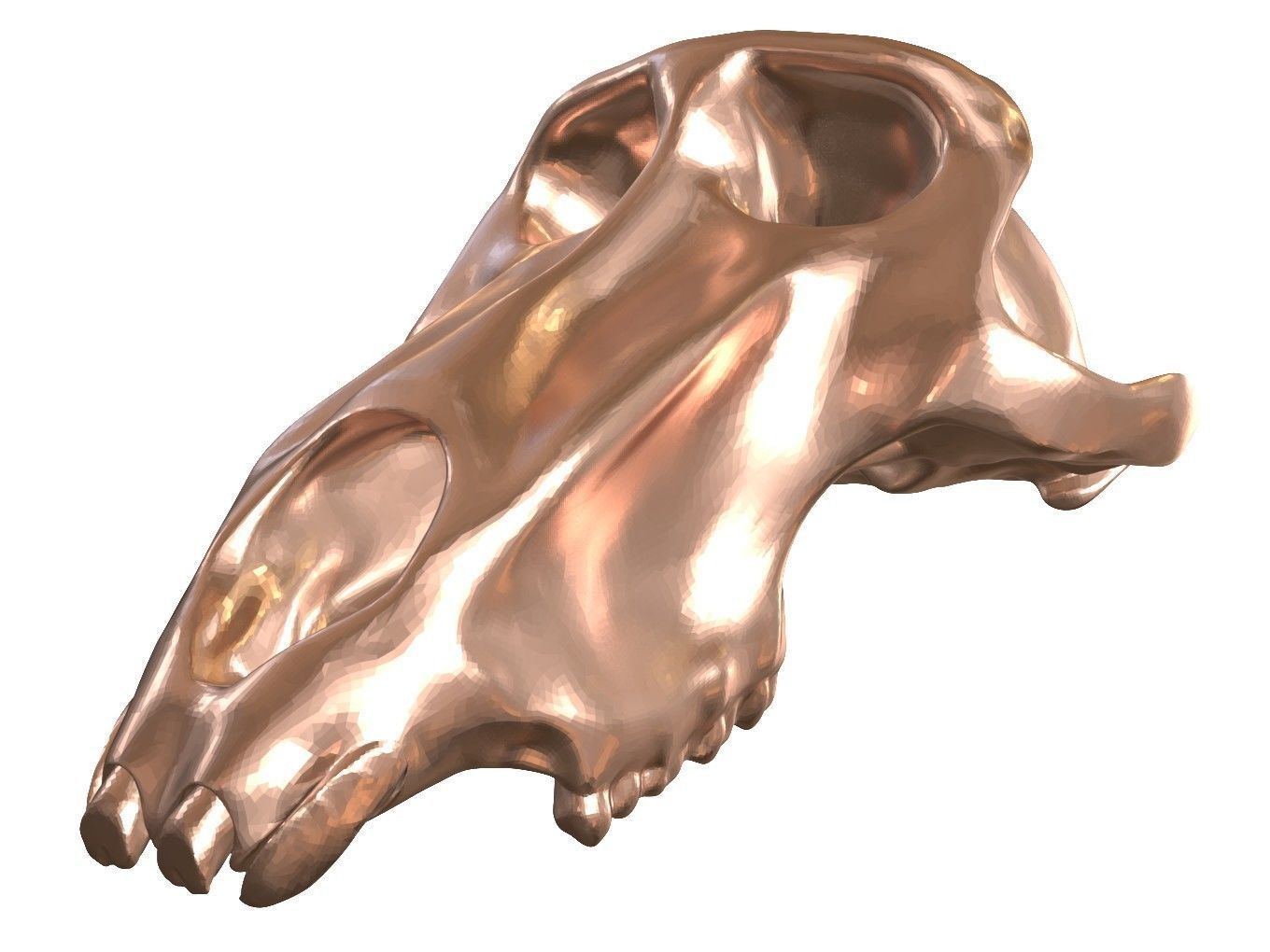 Cranium Charm Baboon Bronze 3D print model_10