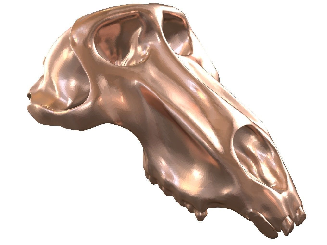 Cranium Charm Baboon Bronze 3D print model_9