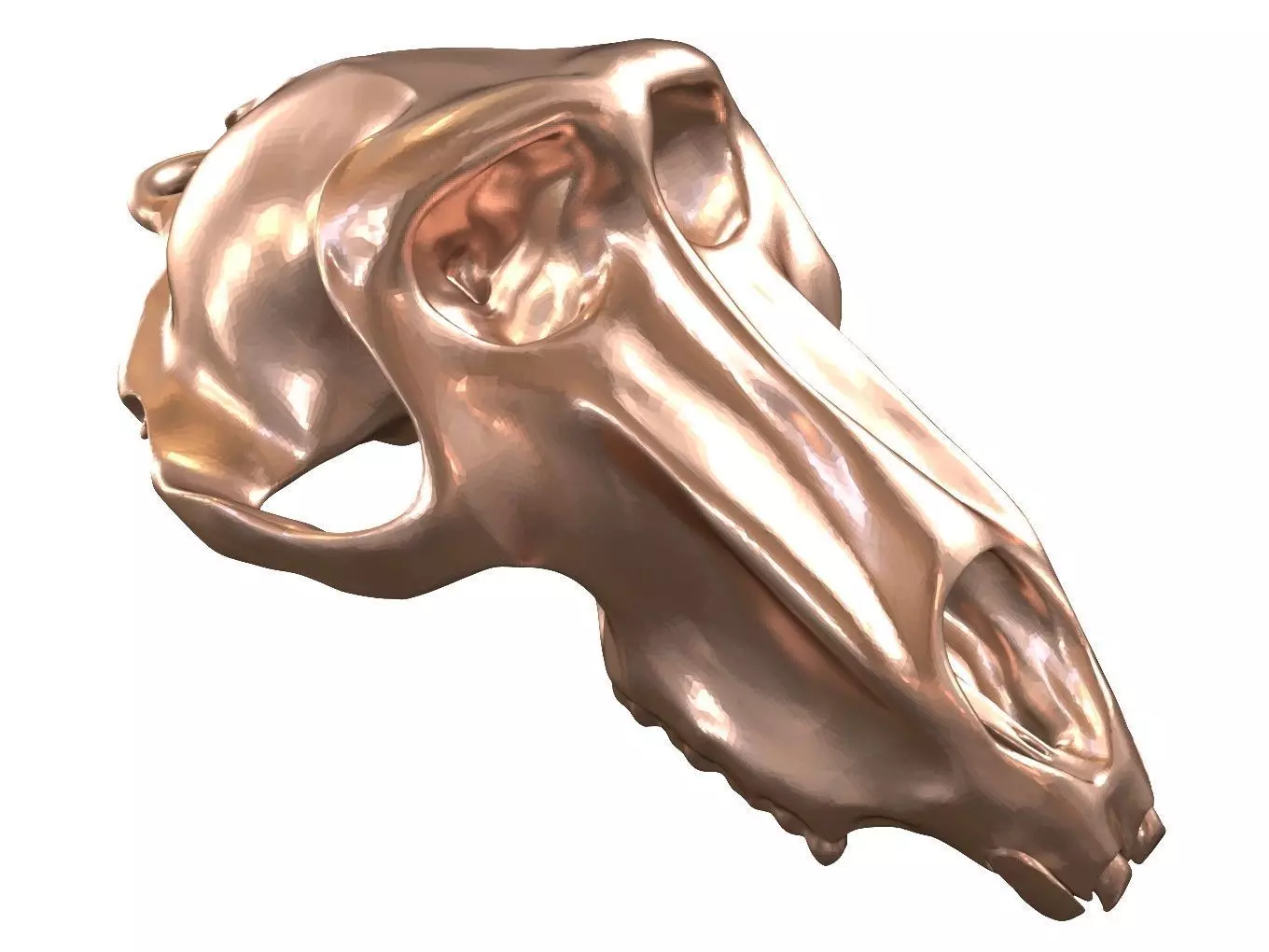 Cranium Charm Baboon Bronze 3D print model_0