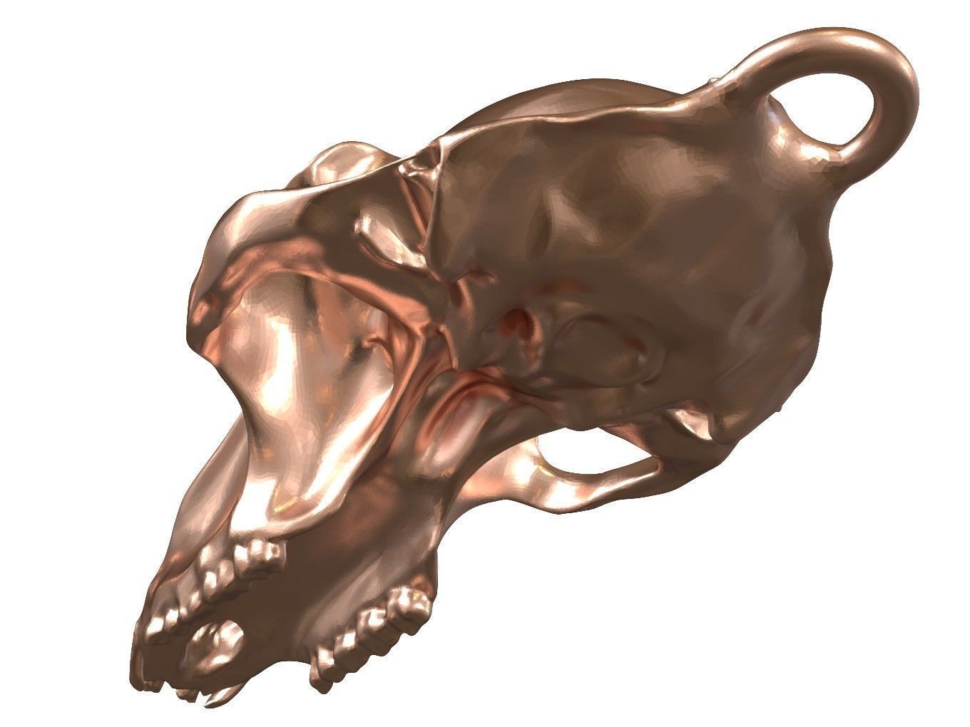 Cranium Charm Baboon Bronze 3D print model_6