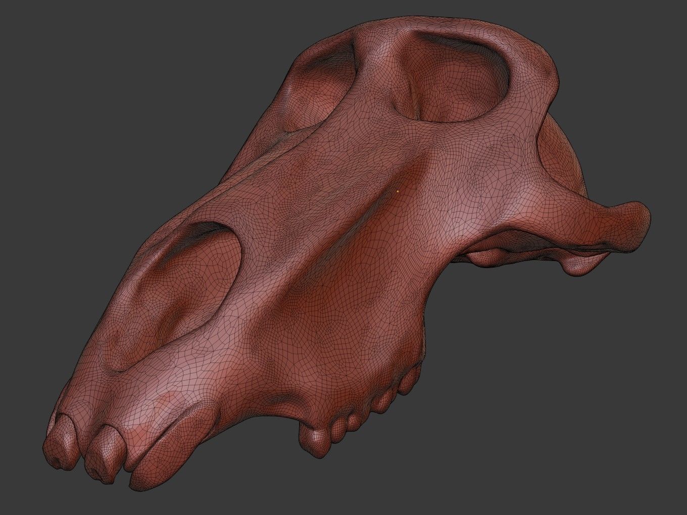 Cranium Charm Baboon Bronze 3D print model_13