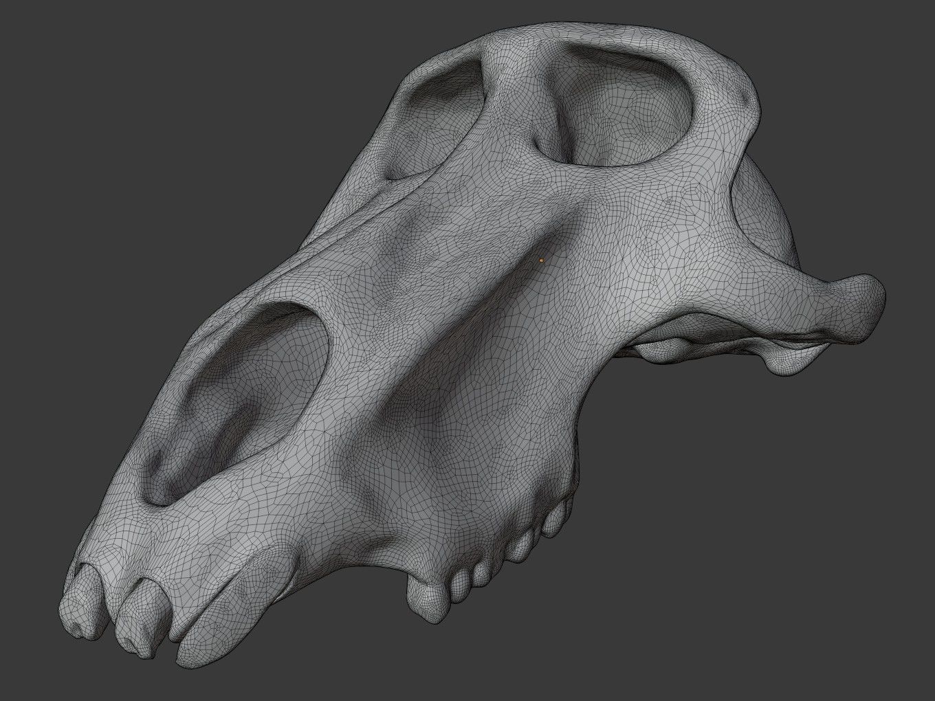 Cranium Charm Baboon Bronze 3D print model_12