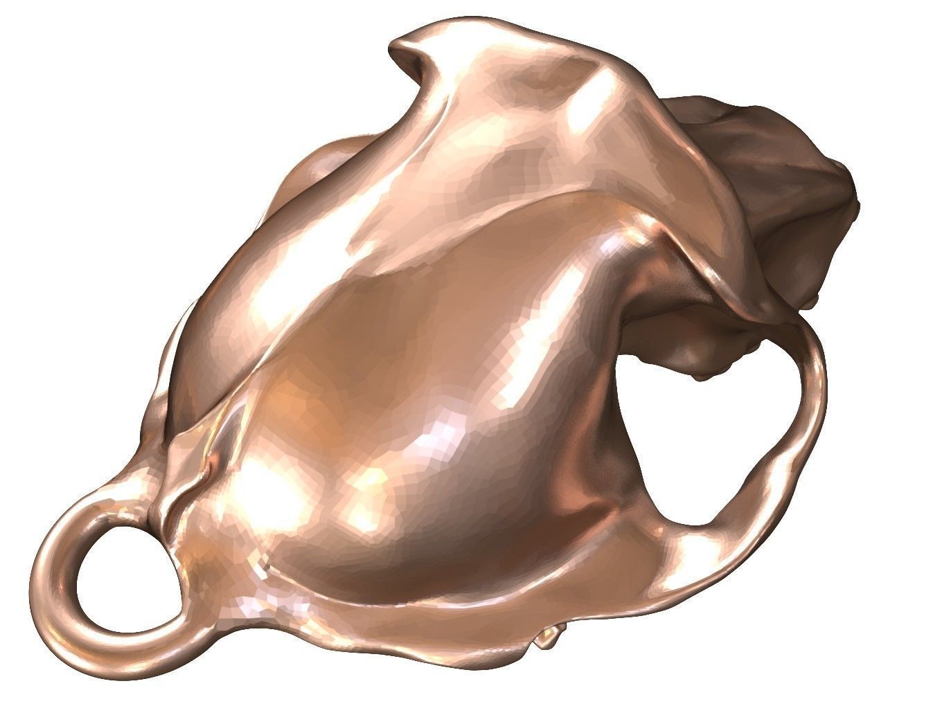 Cranium Charm Baboon Bronze 3D print model_7