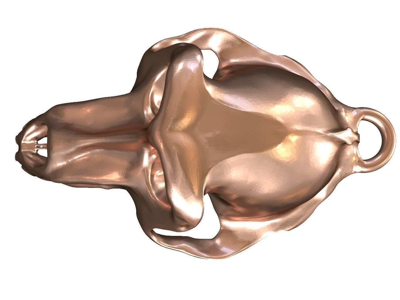 Cranium Charm Baboon Bronze 3D print model_4