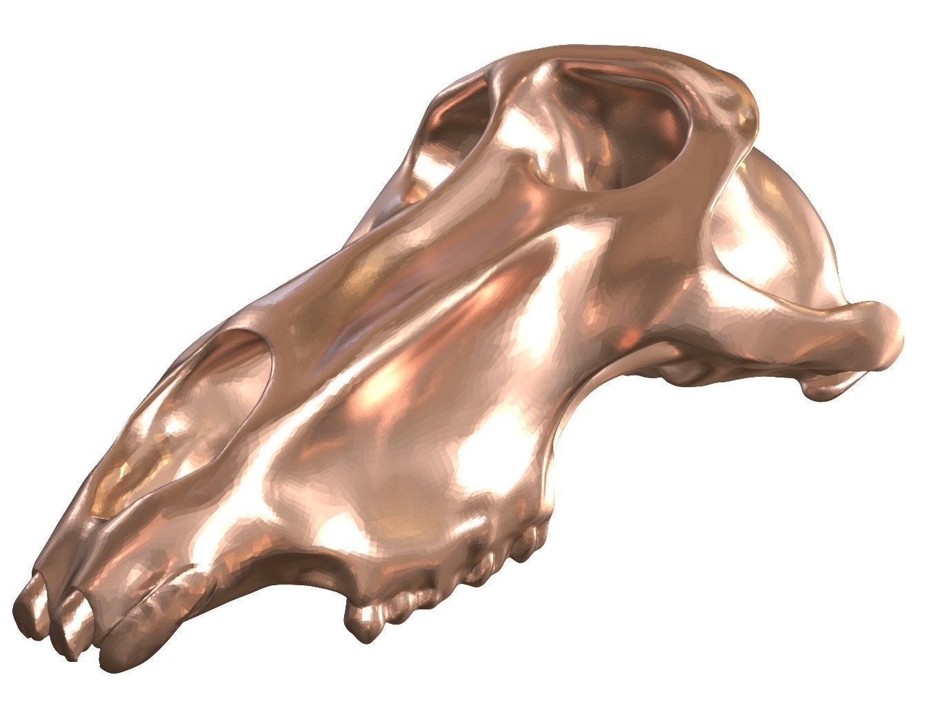 Cranium Charm Baboon Bronze 3D print model_2