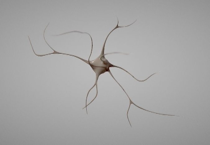 Nerve Neuron cells 3D model