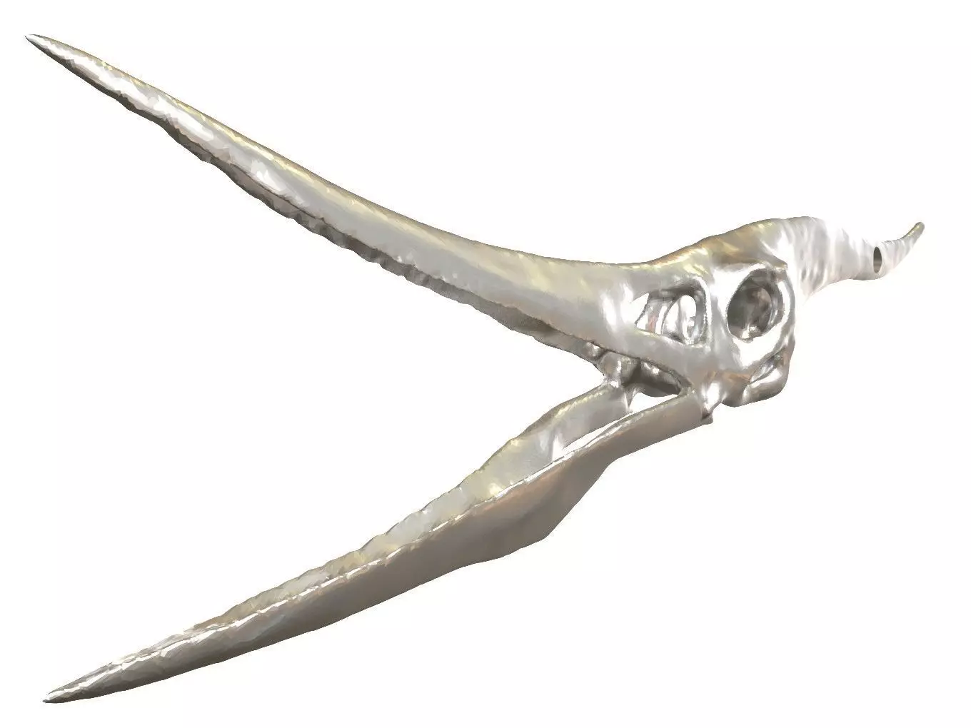 Cranium Charm Pteranodon Silver 3D print model