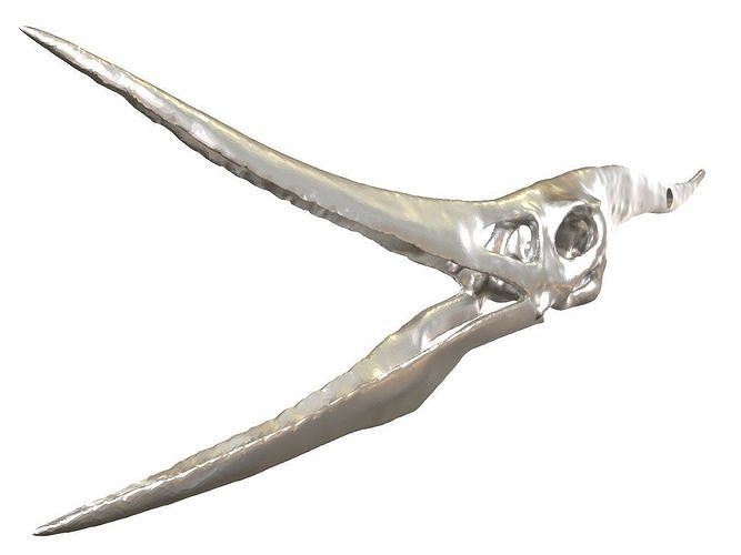 Cranium Charm Pteranodon Silver 3D print model