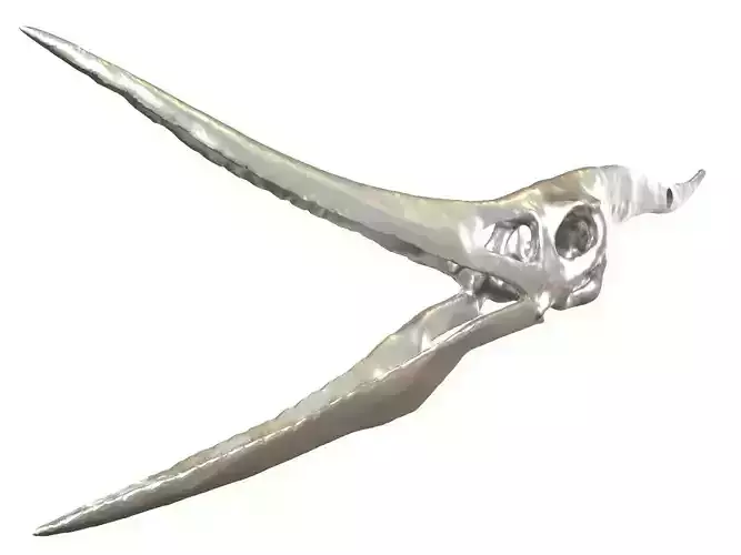 Cranium Charm Pteranodon Silver 3D print model