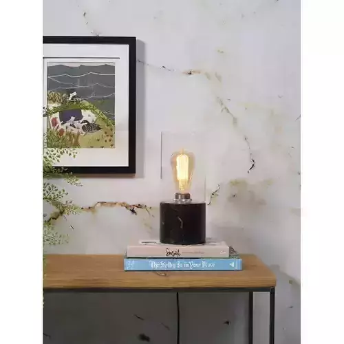 Barasinga Table Lamp - 2 Colour 3D model