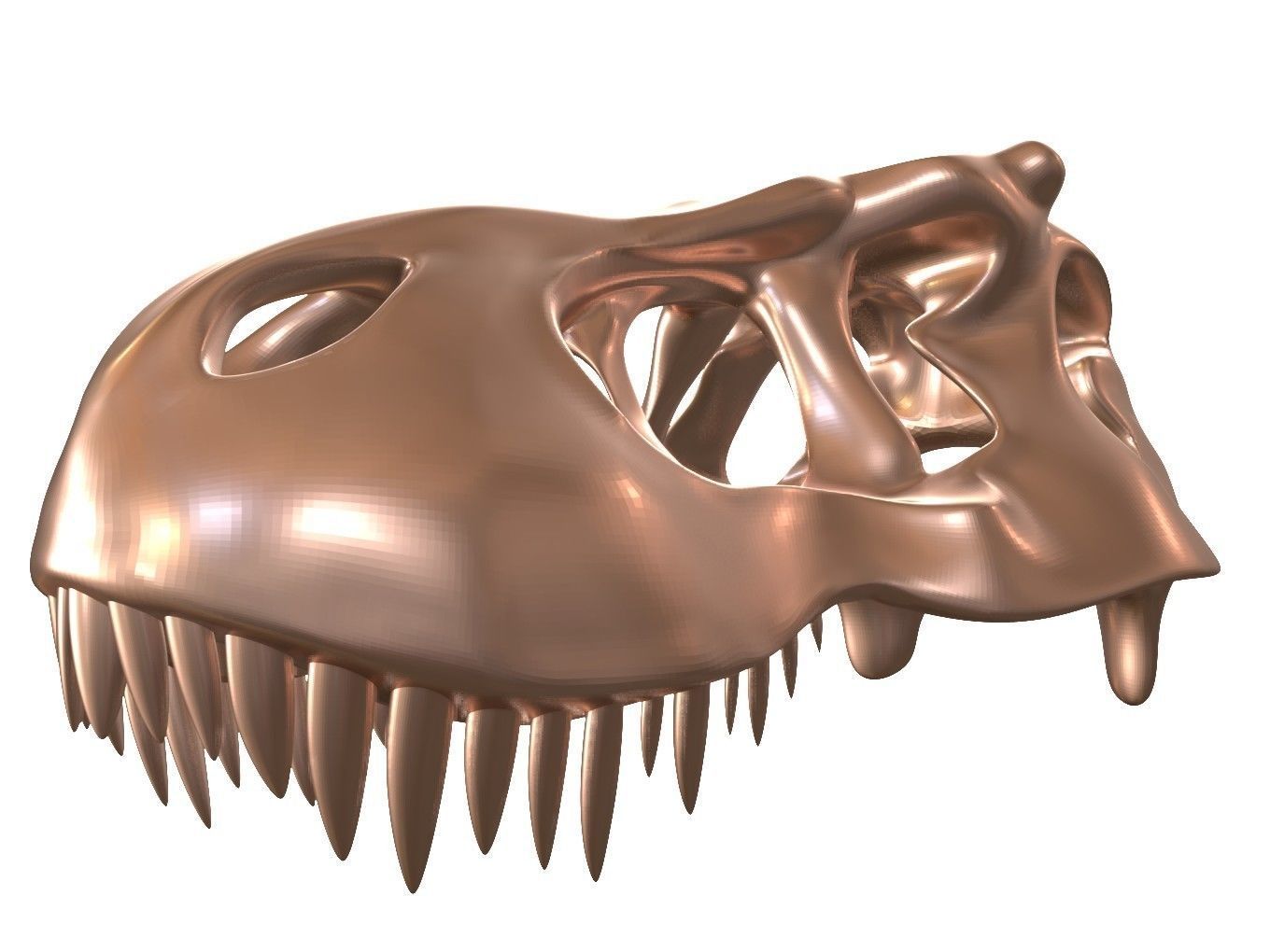 Cranium Charm Tyrannosaurus Bronze 3D print model_6