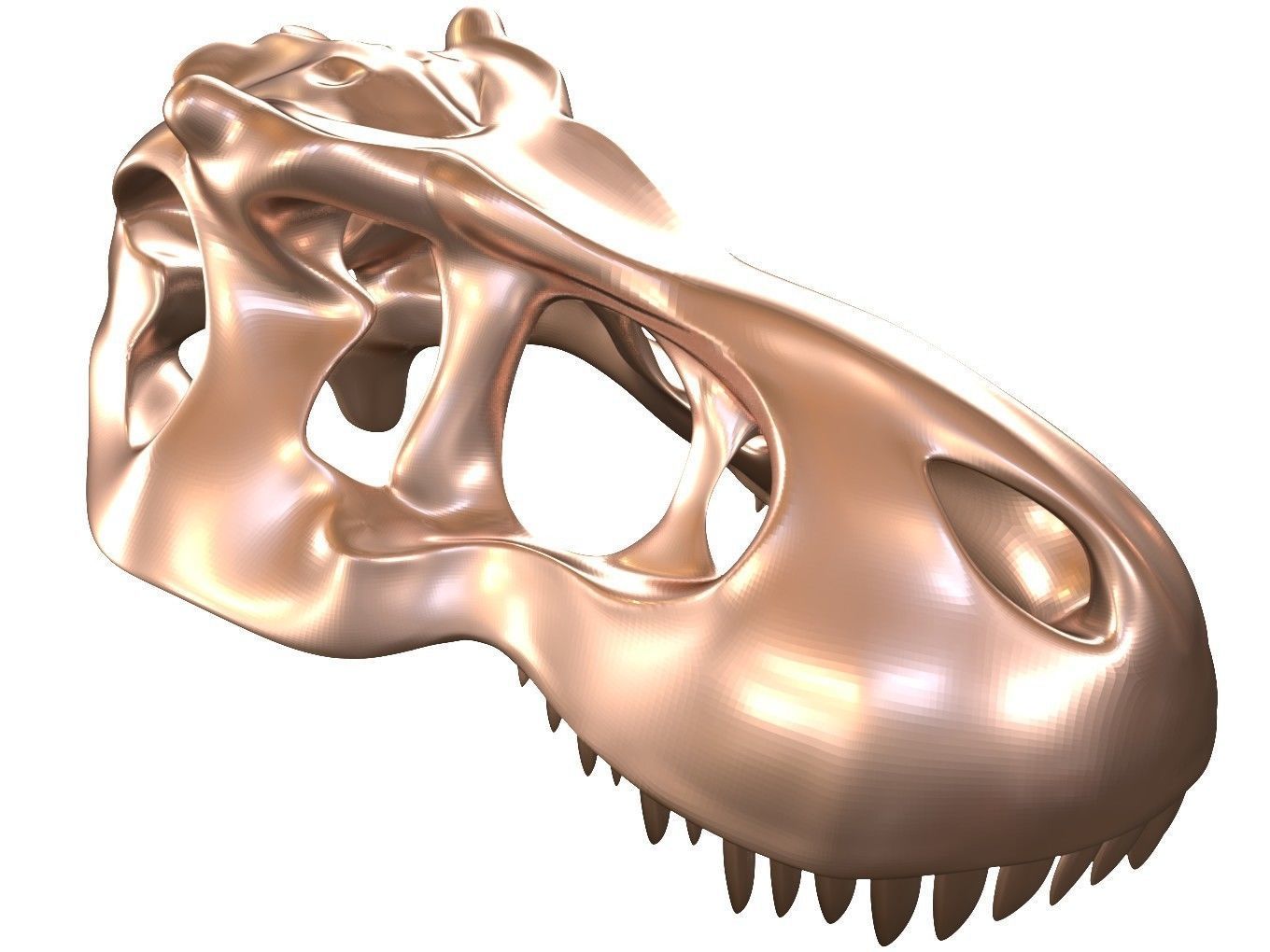 Cranium Charm Tyrannosaurus Bronze 3D print model_8