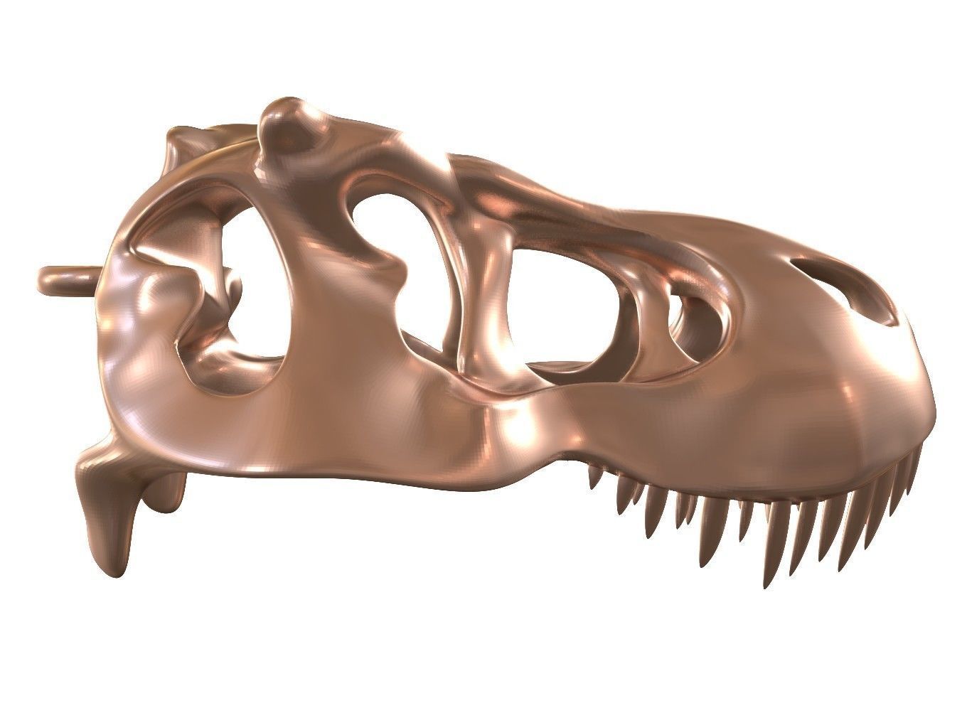 Cranium Charm Tyrannosaurus Bronze 3D print model_1