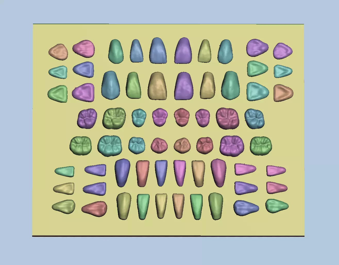 Dental occlusal formar anatomical sample 3D print model