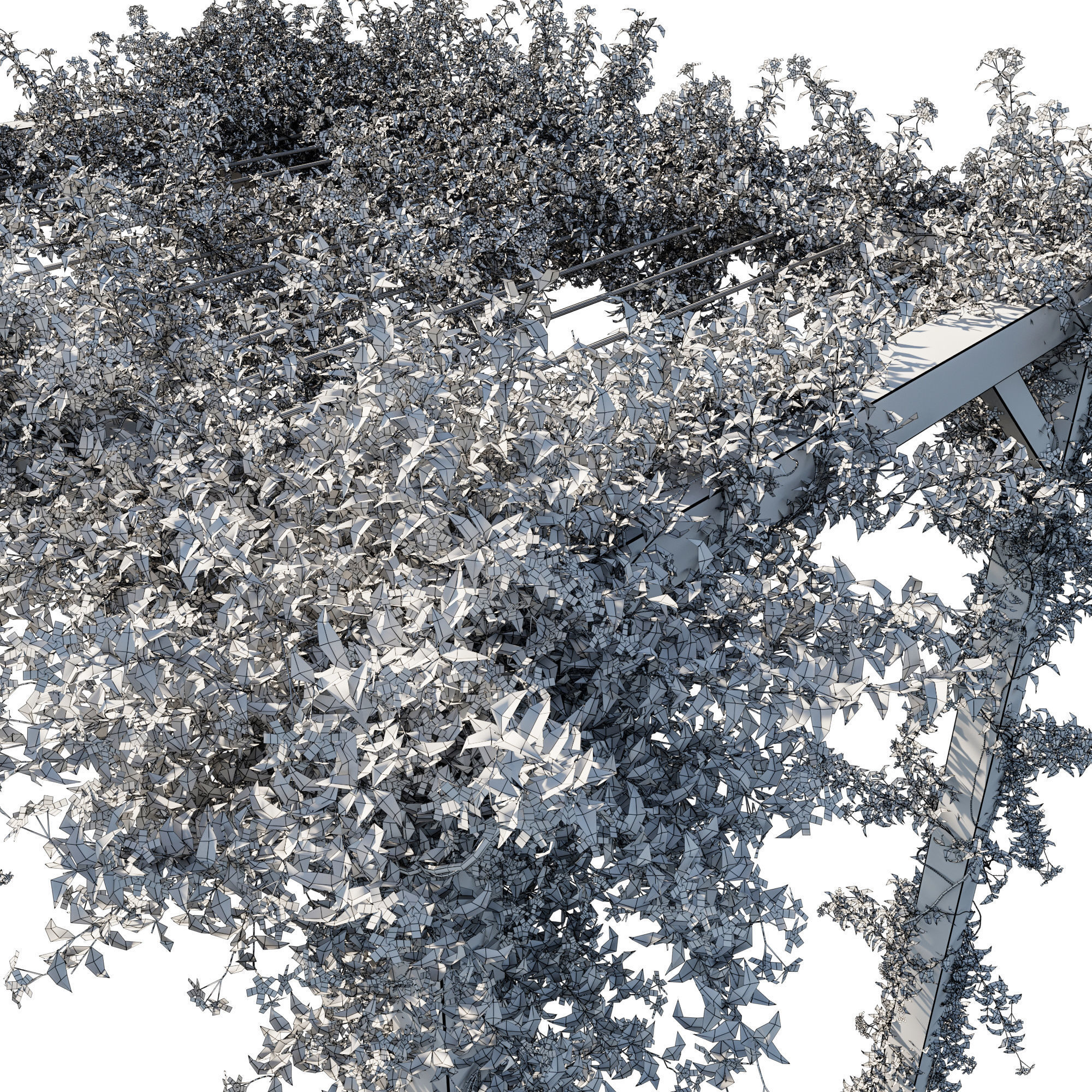 Trachelospermum Jasminoides 02 3D model_2