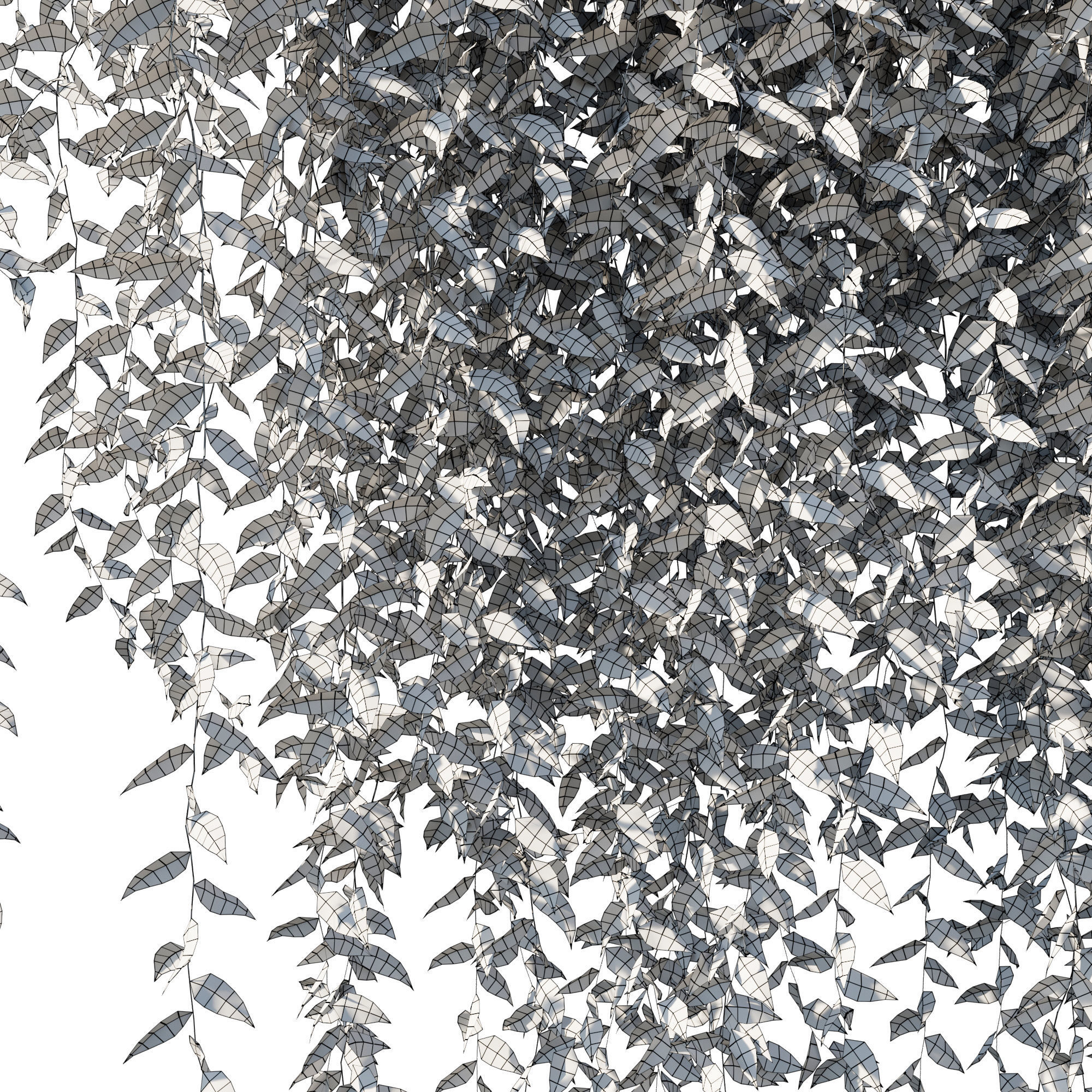 Vernonia Elliptica Curtain Creeper 3D model_2