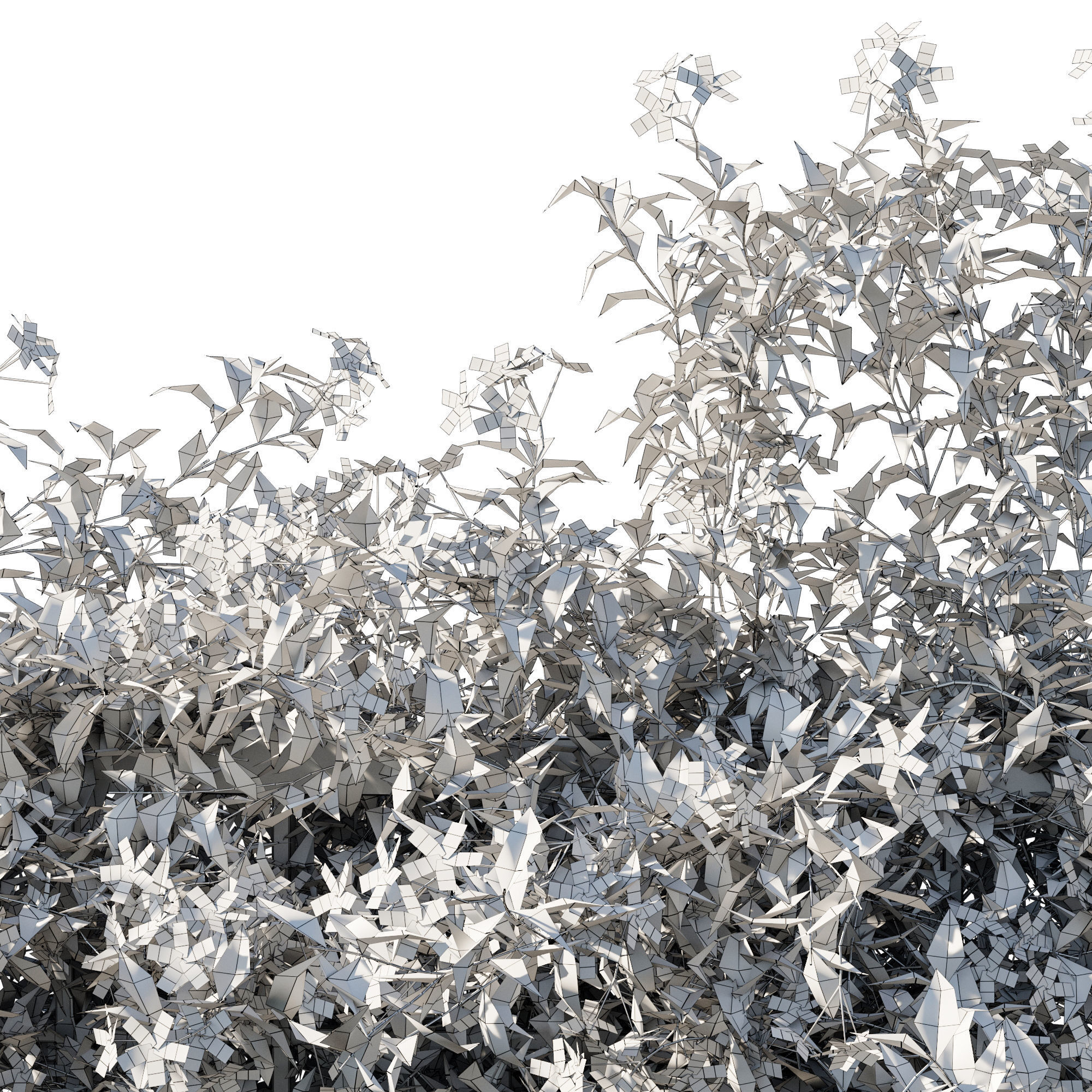 Trachelospermum Star Of Toscane Star Jasmine 02 3D model_3