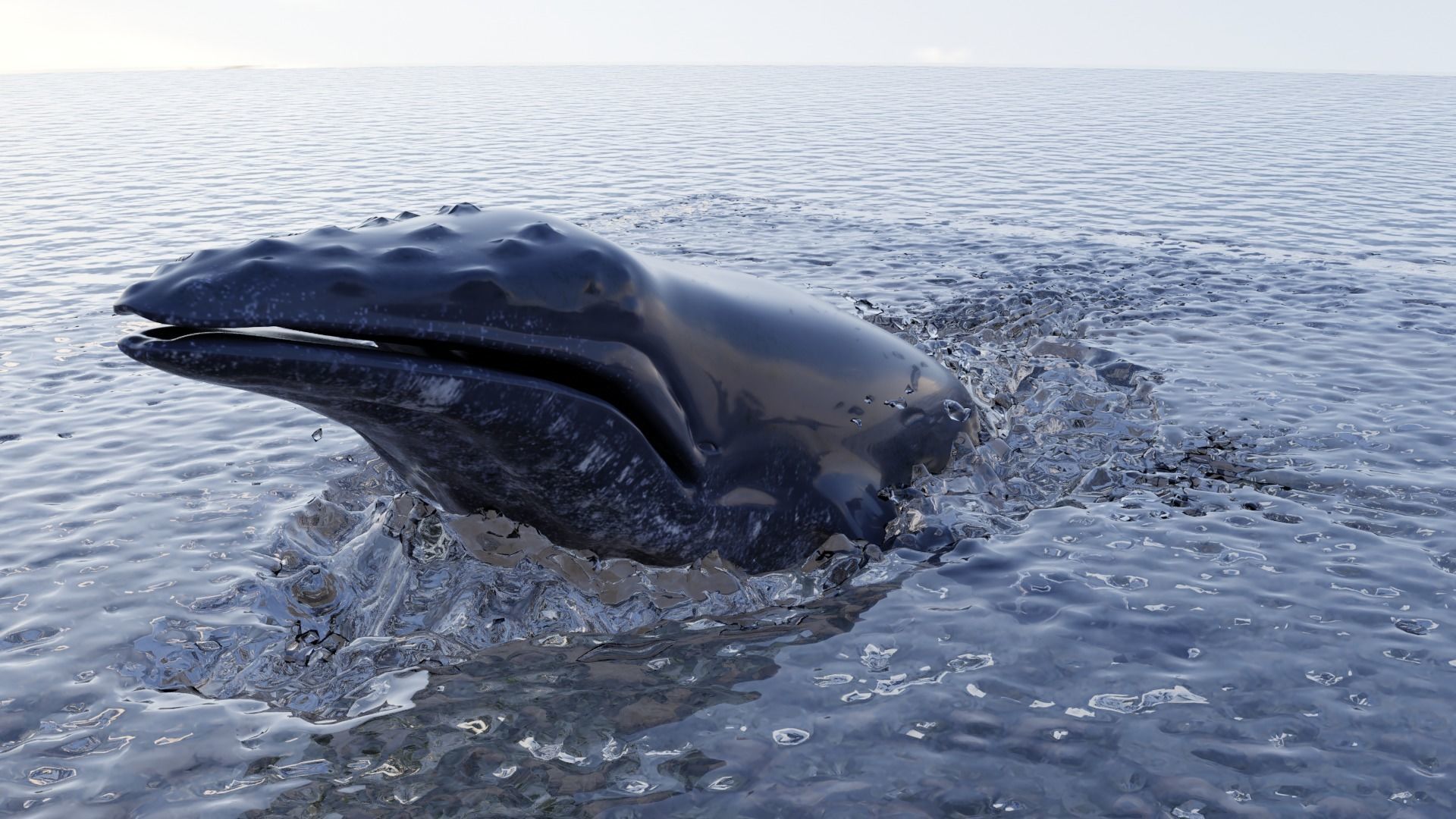 Sea creatures 3D Model Collection_5