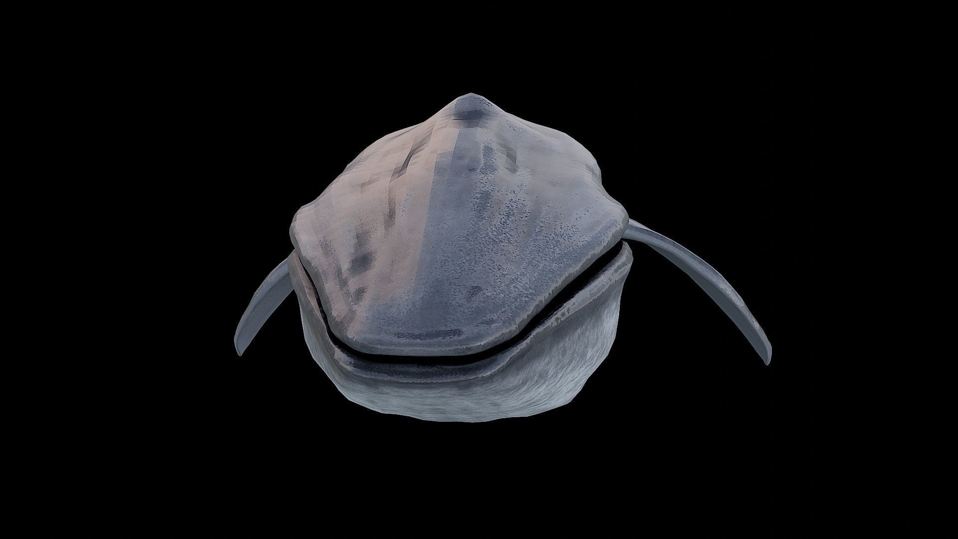 Sea creatures 3D Model Collection_4