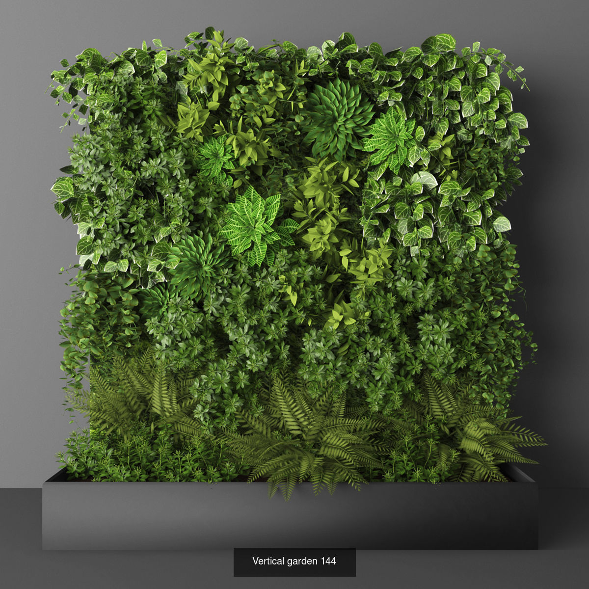 Vertical garden collection of 10 _4