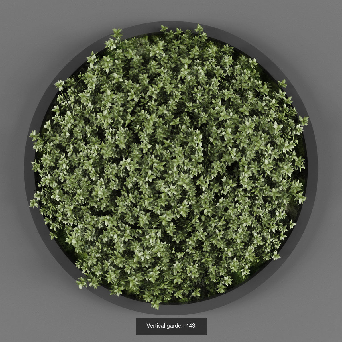 Vertical garden collection of 10 _3