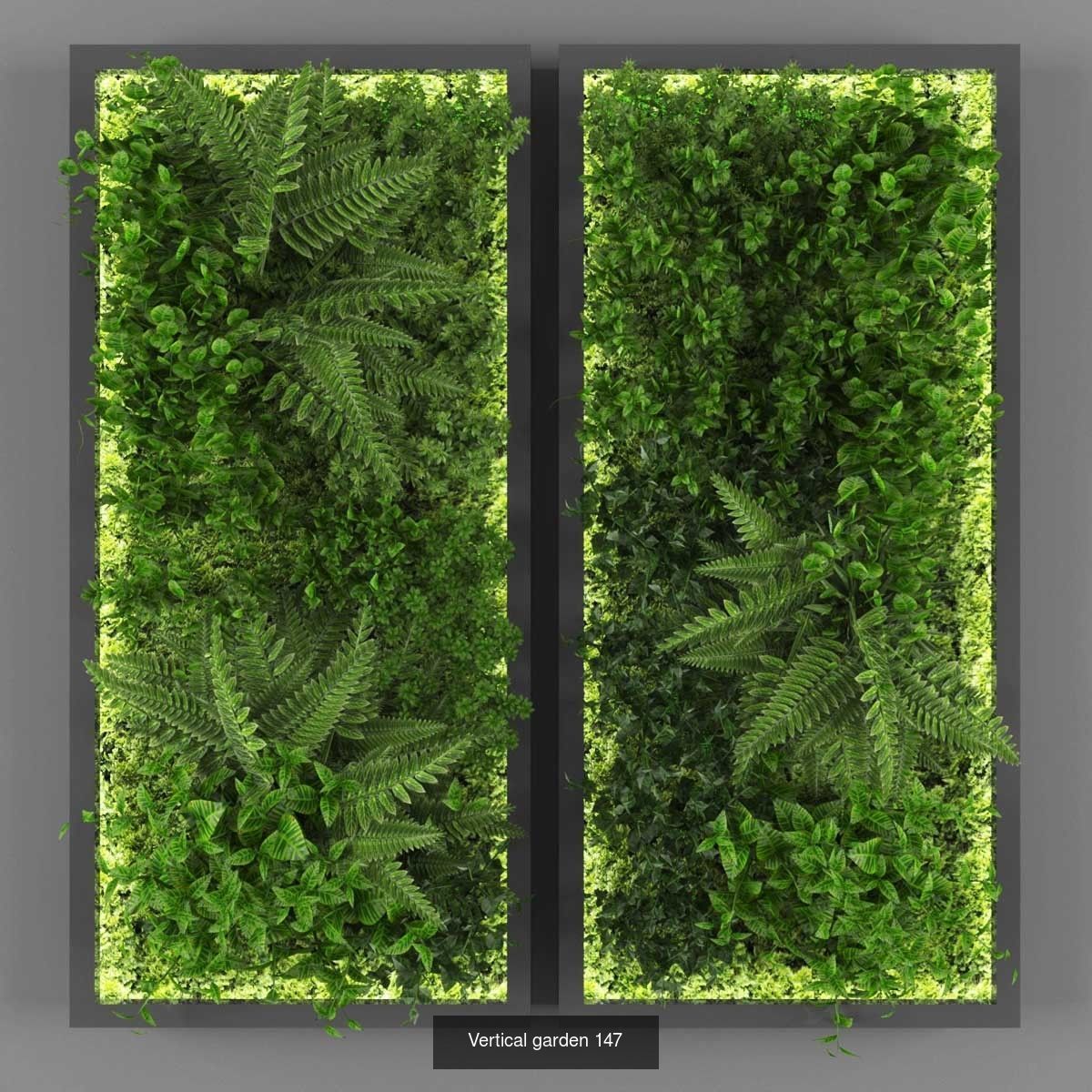 Vertical garden collection of 10 _7