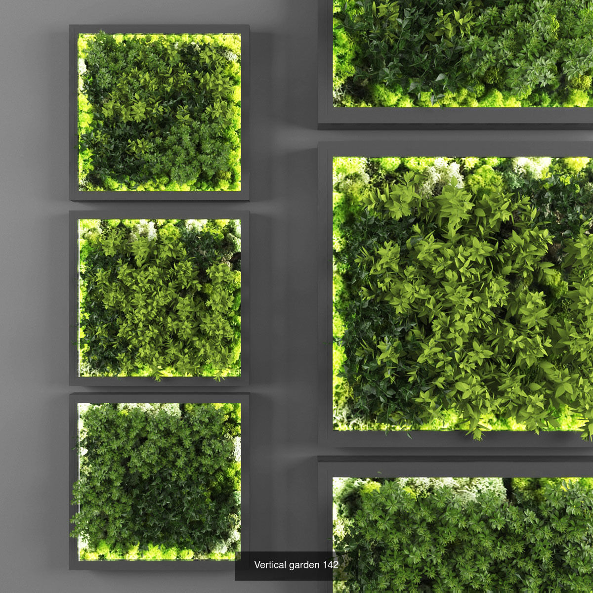 Vertical garden collection of 10 _2
