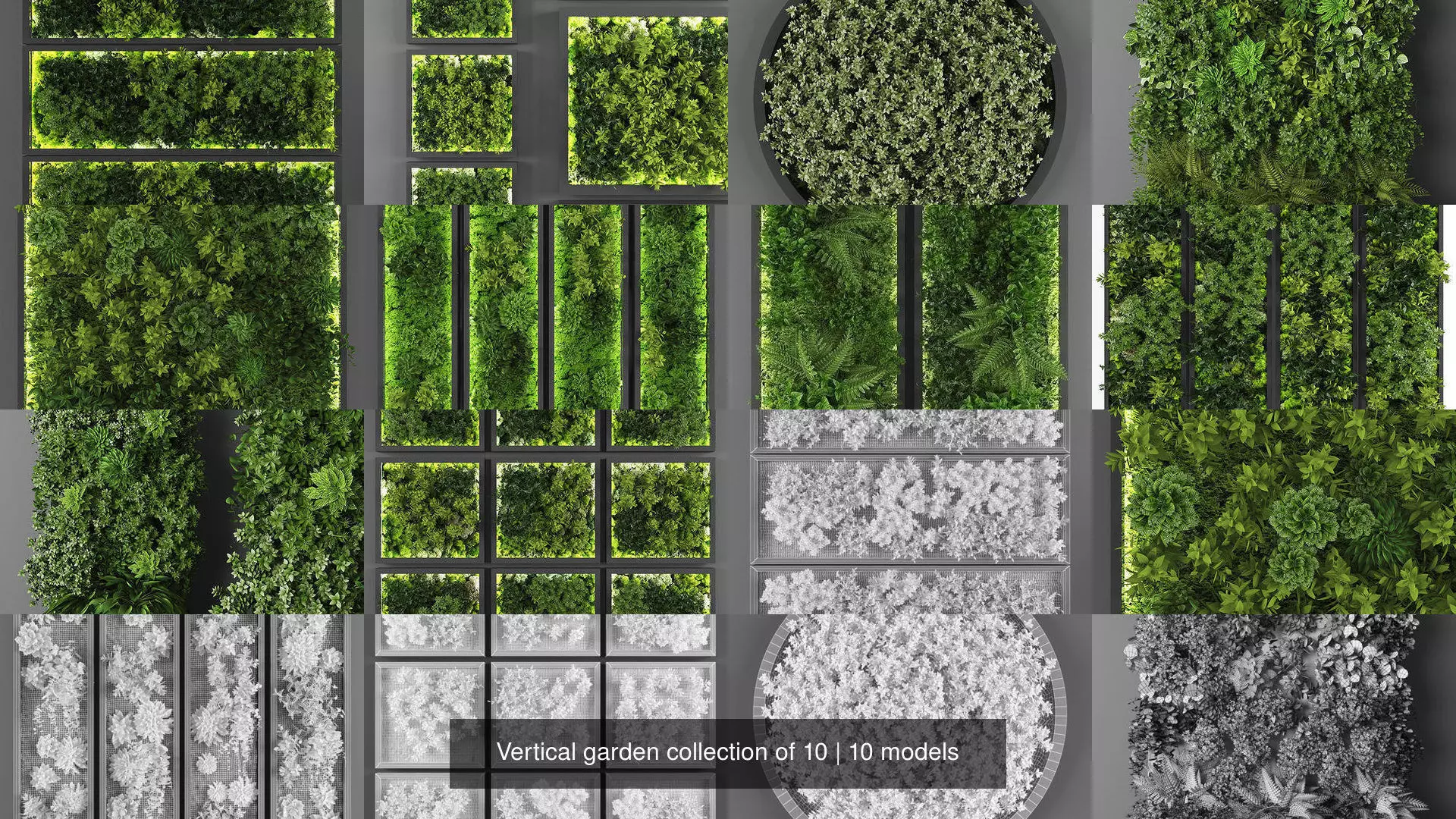 Vertical garden collection of 10 _0