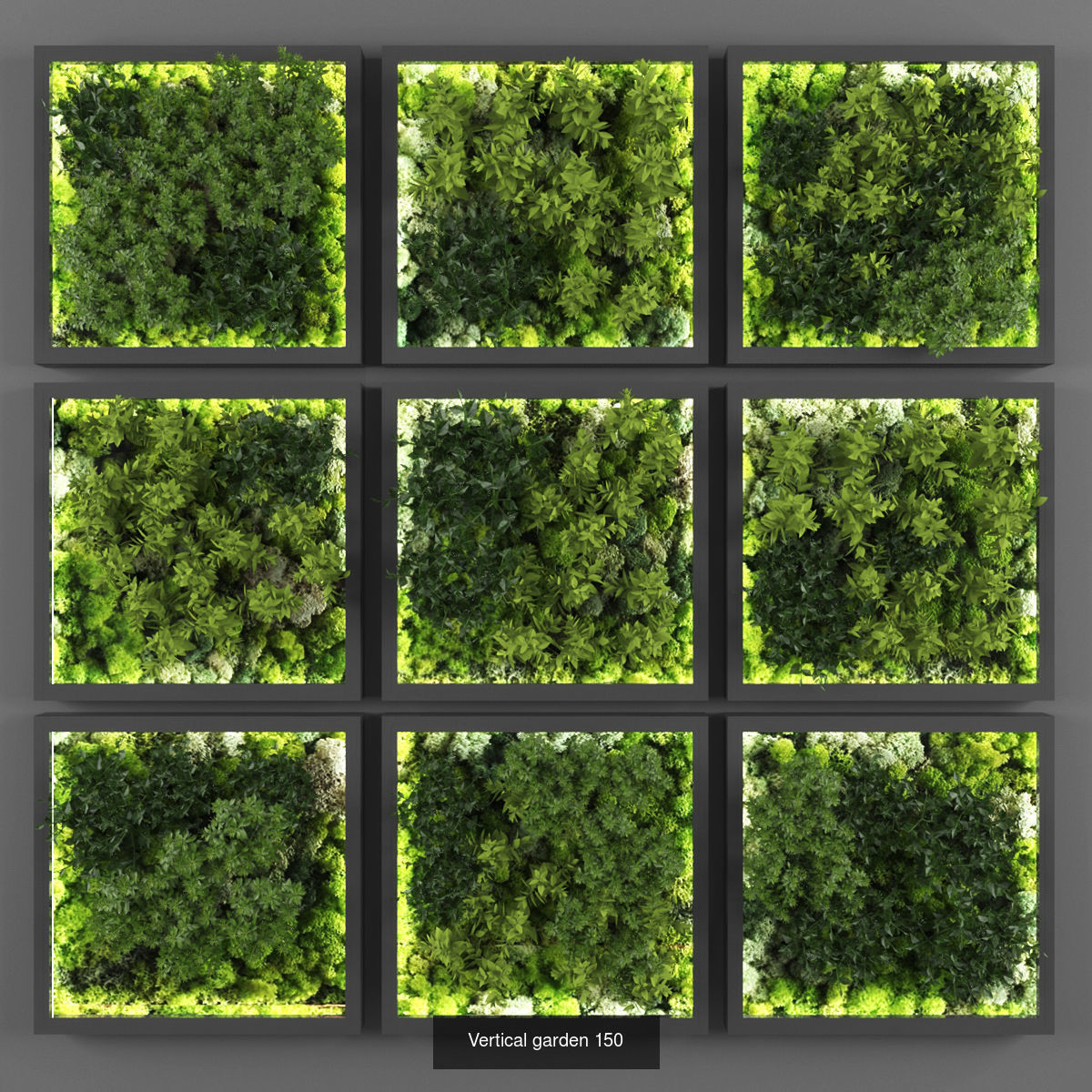 Vertical garden collection of 10 _10