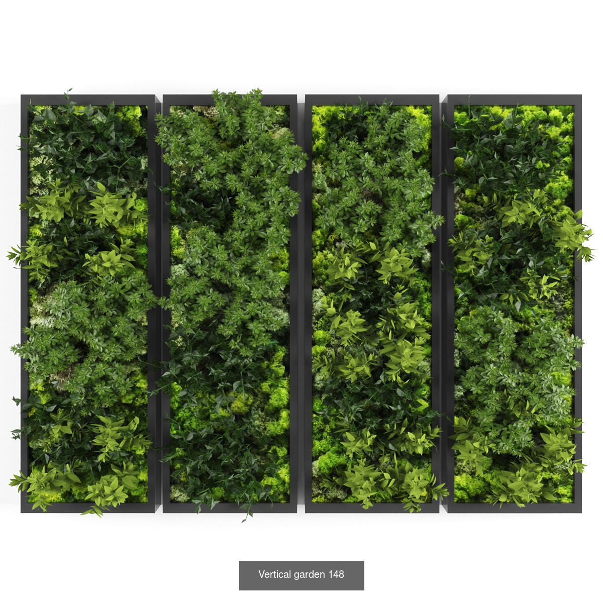 Vertical garden collection of 10 _8