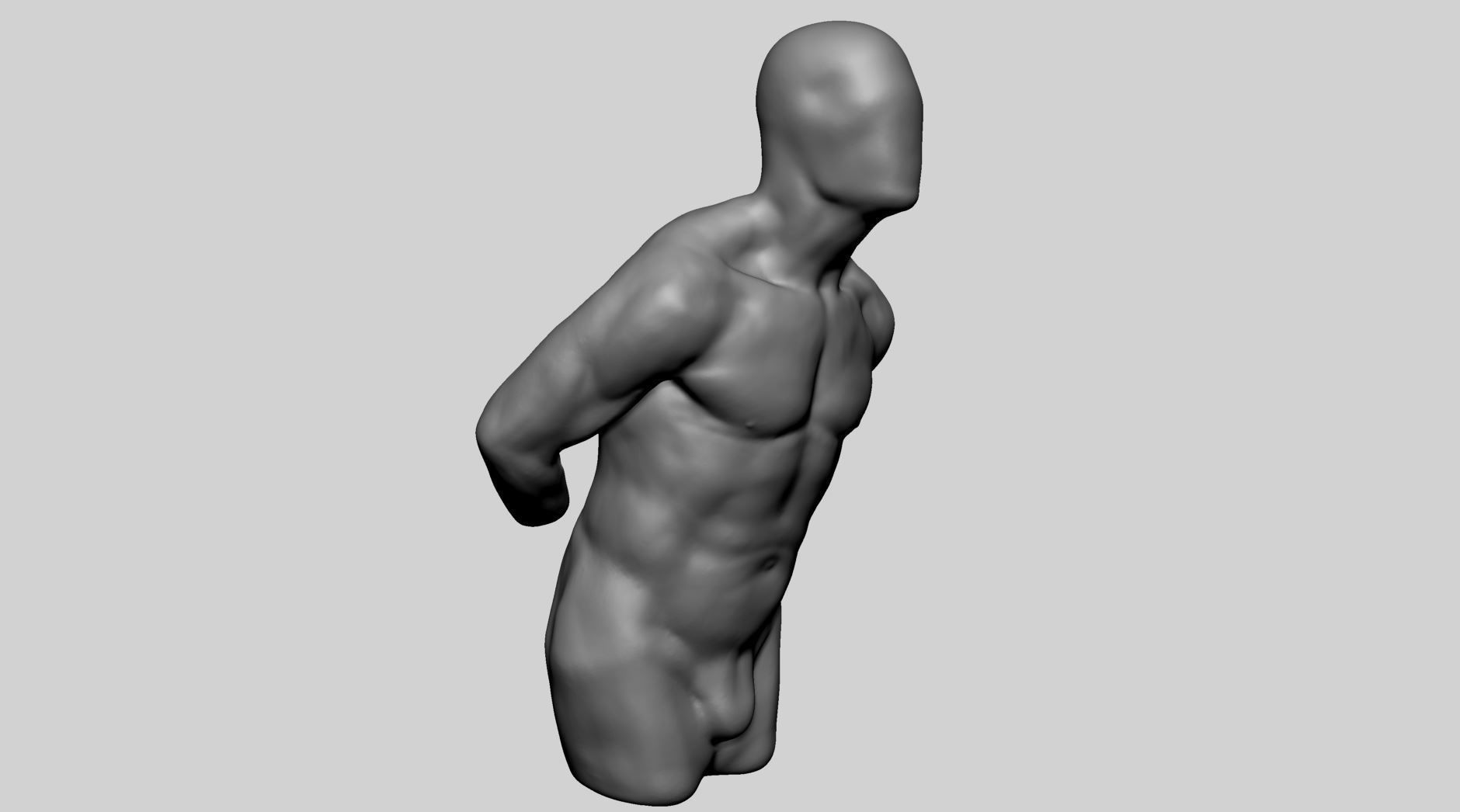 Male Torso Printable v3 3D print model_1