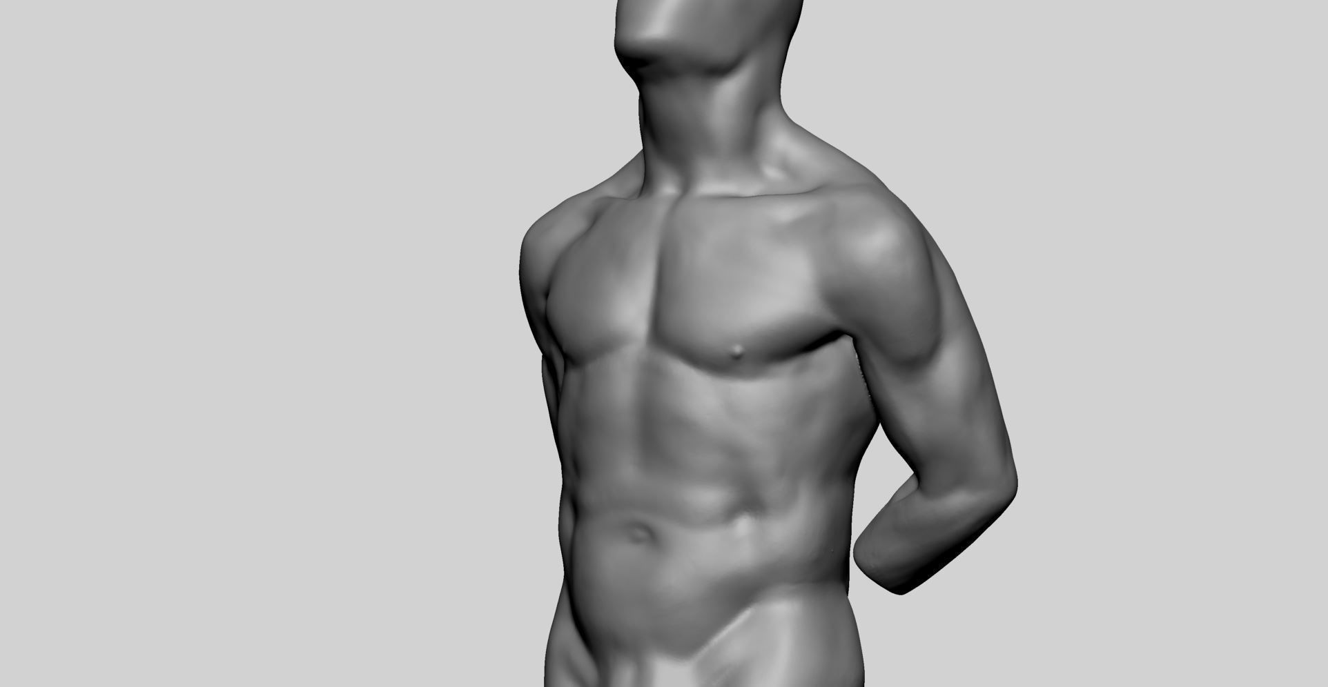 Male Torso Printable v3 3D print model_7