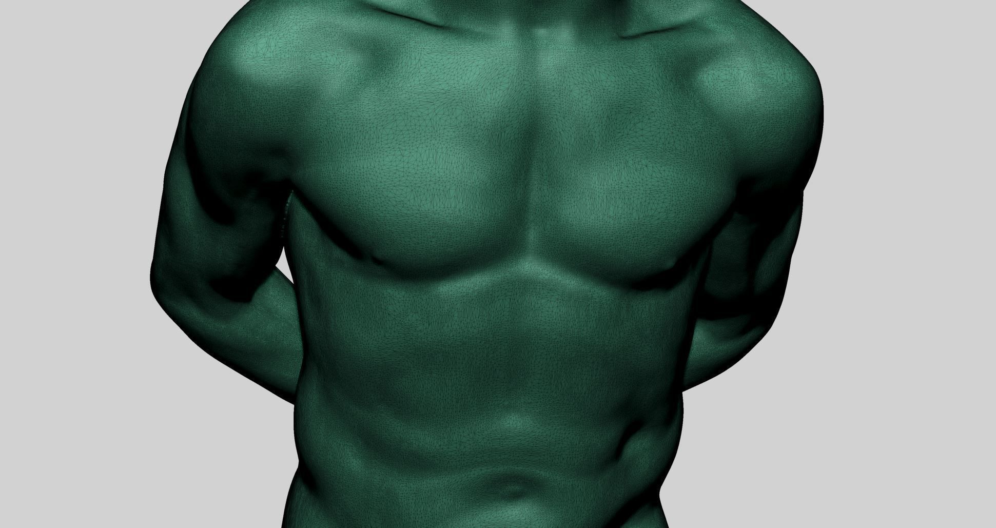 Male Torso Printable v3 3D print model_9